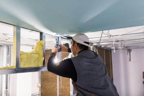 Best Geographic-Specific Insulation Services in Onalaska, TX