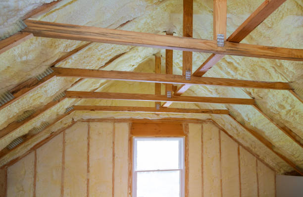 Best Spray Foam Insulation in Onalaska, TX