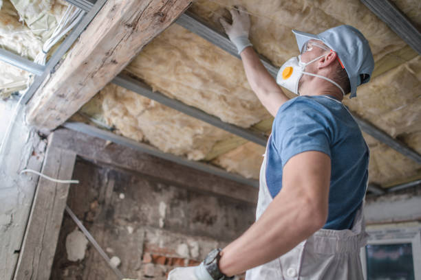 Best Eco-Friendly Insulation in Onalaska, TX
